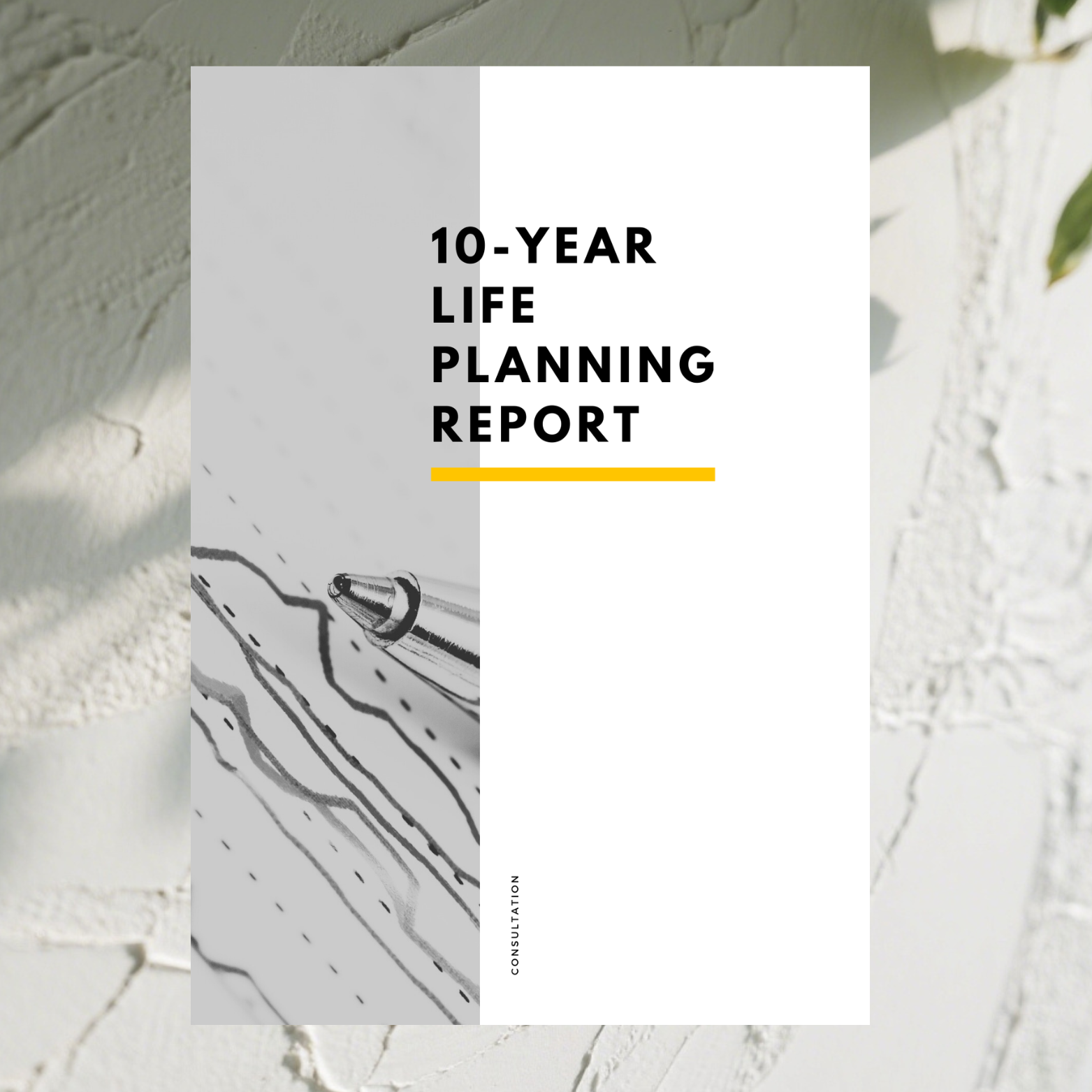 D76 Ten-Year Income Analysis Report