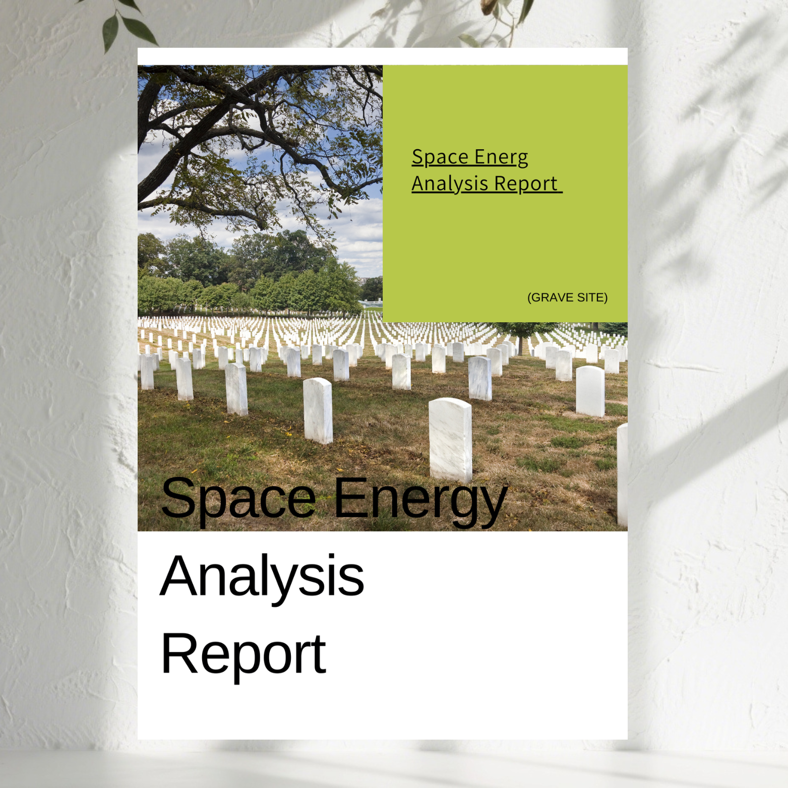 D13 Ancestral Heritage & Environment Consultation(1 Question)